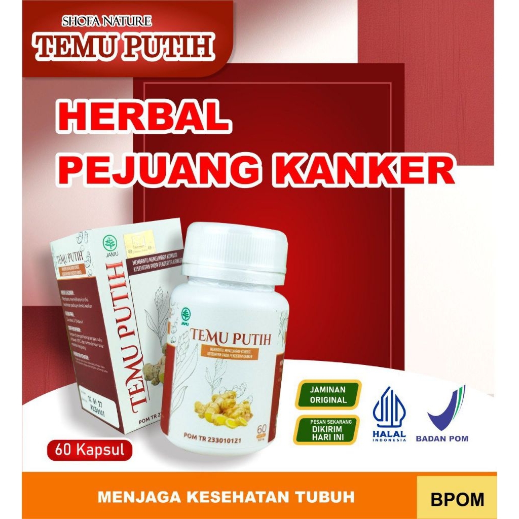 Kapsul Temu Putih
