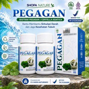 Kapsul PEGAGAN