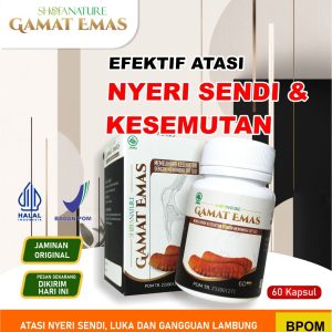 Kapsul Gamat Emas