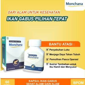Kapsul MONCHANA 60 Kapsul Herbal Ikan Gabus