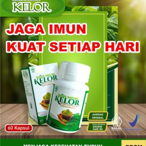 Kapsul KELOR 60 Kapsul Herbal Superfood