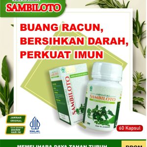 Kapsul SAMBILOTO 60 Kapsul