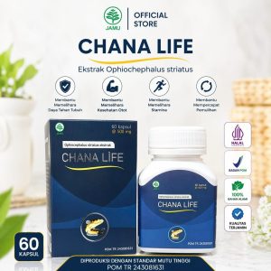 Kapsul Chana Life 60 Kapsul Herbal Ikan Gabus