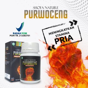 Kapsul Purwoceng 60 Kapsul Herbal Peningkatan Stamina Pria